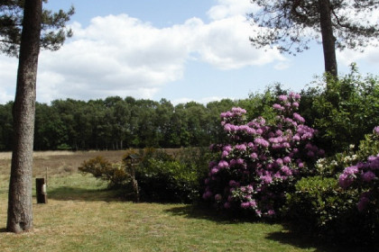 023 Sfeervolle 6 persoons bungalow met open haard in prachtig natuurgebied