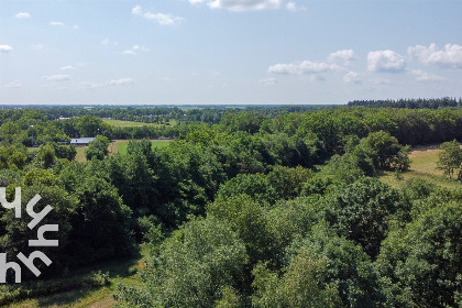 035 10 tot 12 persoons Saksische vakantieboerderij met gratis internet