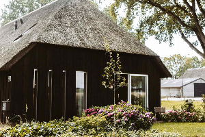 Een comfortabel 2 persoons vakantiehuis met tuin, in Uffelte, nabij natuurgebieden