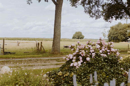 010 Een comfortabel 2 persoons vakantiehuis met tuin, in Uffelte, nabij natuurgebieden