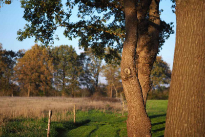 020 Prachtig gelegen 10 persoons vakantieboerderij in Uffelte   Drenthe