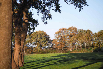 026 Prachtig gelegen 10 persoons vakantieboerderij in Uffelte   Drenthe