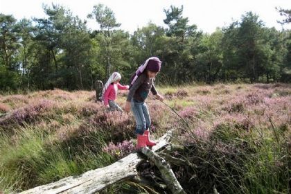 018 Twee naast elkaar gelegen 6 persoons vakantiehuizen in Zuid West Drenthe