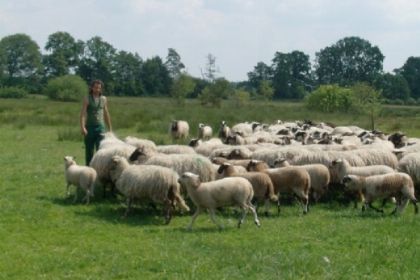 023 Twee naast elkaar gelegen 6 persoons vakantiehuizen in Zuid West Drenthe