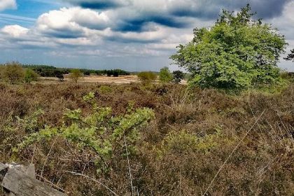 028 Twee naast elkaar gelegen 6 persoons vakantiehuizen in Zuid West Drenthe