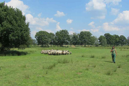 014 Heerlijk 4 persoons chalet met bubbelbad op familiecamping in Wateren, Drenthe