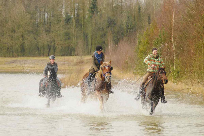 016 Heerlijk 4 persoons chalet met bubbelbad op familiecamping in Wateren, Drenthe