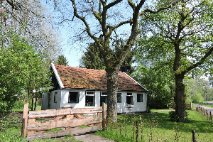 Landelijk gelegen vakantiehuisje voor 6 personen in Wateren, Drenthe