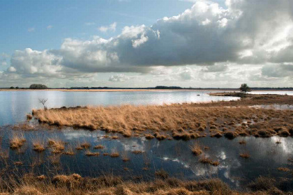 013 Landelijk gelegen vakantiehuisje voor 6 personen in Wateren, Drenthe