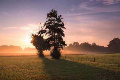 003 Een rustiek 5 persoons vakantiehuis in Westdorp, Drenthe