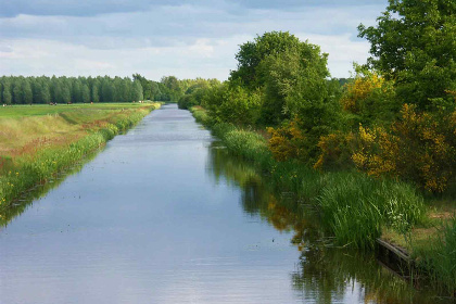 008 Een rustiek 5 persoons vakantiehuis in Westdorp, Drenthe