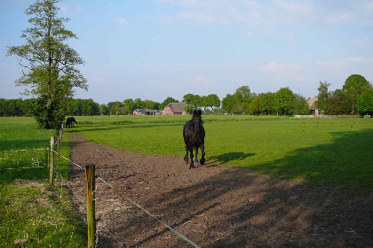 012 Een rustiek 5 persoons vakantiehuis in Westdorp, Drenthe