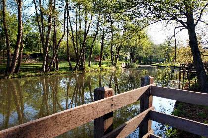 006 Comfortabel 8 persoons vakantiehuis met sauna en zonnehemel