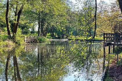 011 Comfortabel 8 persoons vakantiehuis met sauna en zonnehemel