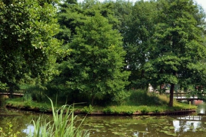 033 Heerlijk 8 persoons vakantiehuis met sauna en zonnehemel in Westerbork