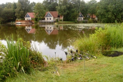 035 Heerlijk 8 persoons vakantiehuis met sauna en zonnehemel in Westerbork