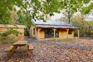 Luxe 4 persoonsvakantiehuis met sauna en bubbelbad, natuurrijk gelegen in Westerbork