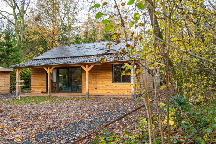 011 Luxe 4 persoonsvakantiehuis met sauna en bubbelbad, natuurrijk gelegen in Westerbork