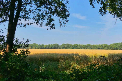 018 Luxe 4 persoonsvakantiehuis met sauna en bubbelbad, natuurrijk gelegen in Westerbork