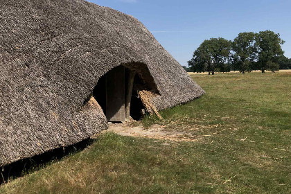 028 Luxe 4 persoonsvakantiehuis met sauna en bubbelbad, natuurrijk gelegen in Westerbork