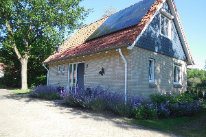 Vakantiehuis voor 6 personen gelegen aan viswater in Westerbork