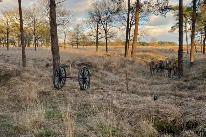 009 4 persoons chalet op vakantiepark Drentheland in Zorgvlied