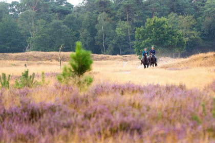 019 4 persoons vakantiehuis met een berging op vakantiepark Drentheland in Zorgvlied