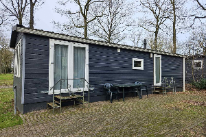 Huisdiervrij 4 persoons chalet op vakantiepark Drentheland in Zorgvlied