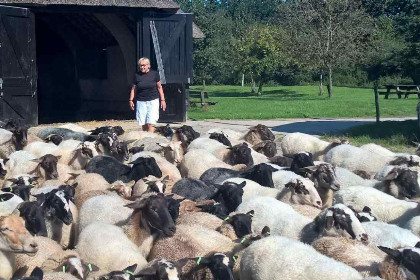 004 Mooie 4 persoons vakantiewoning midden in het bos