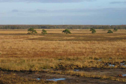 012 Mooie 4 persoons vakantiewoning midden in het bos