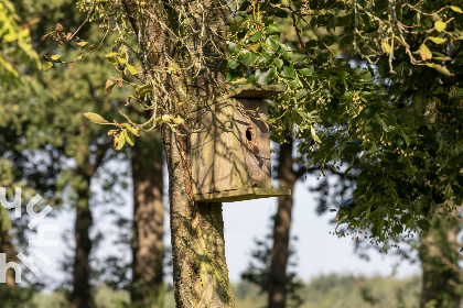 042 Comfortabel boerderij in Drenthe voor 6 personen