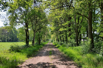 010 Rustig gelegen 6 persoons vakantiehuis omringd door weilanden in Zuidwolde, Drenthe