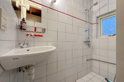 019 Wildenberg