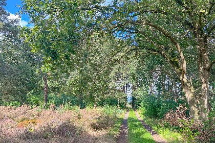 033 Wildenberg