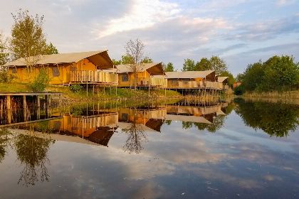 028 Groepsverblijf groepstent   vier luxe 6 pers. glamping tenten (24 personen)