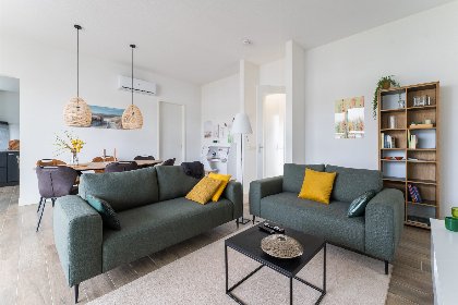003 Bloem Nr. 384 | 6 Pers