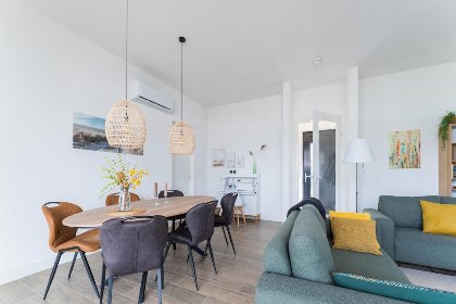 005 Bloem Nr. 384 | 6 Pers
