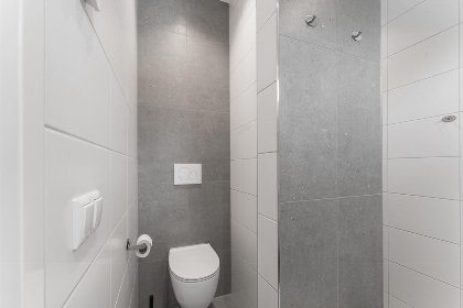 011 Bloem Nr. 384 | 6 Pers