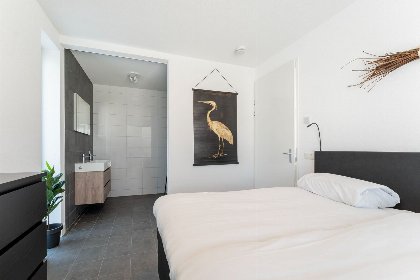 009 Bloem Nr. 404 | 6 Pers