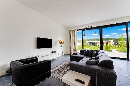 003 Bloem Nr. 424 | 6 Pers