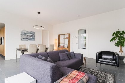 004 Bloem Nr. 424 | 6 Pers