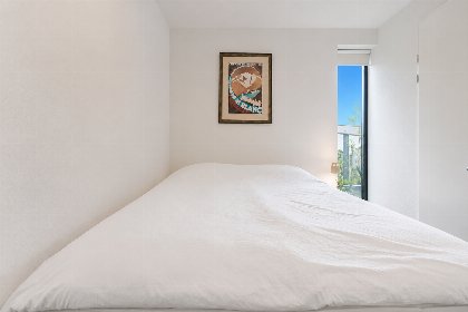 013 Bloem Nr. 424 | 6 Pers
