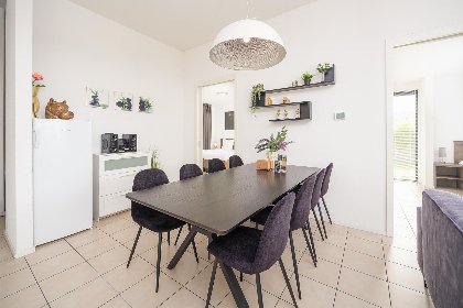 003 Bloem Nr. 442 | 8 pers