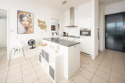 004 Bloem Nr. 442 | 8 pers