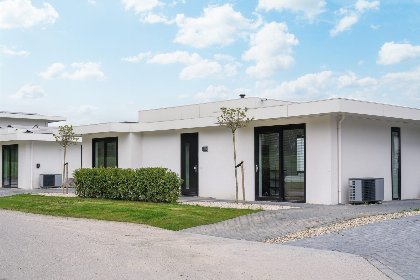 001 Bloem Nr. 551 | 8 Pers