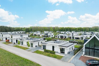 020 Bloem Nr. 551 | 8 Pers
