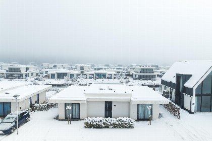 027 Bloem Nr. 551 | 8 Pers