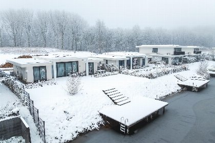 030 Bloem Nr. 551 | 8 Pers