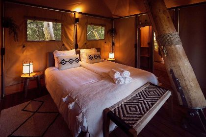 023 Glamping tent Hacienda | 6 Pers