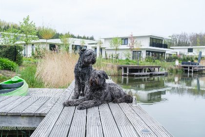 024 Villa Dolfijntje Nr. 585 | 4 pers